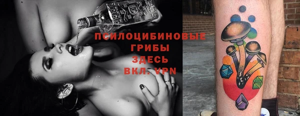 индика Алексин