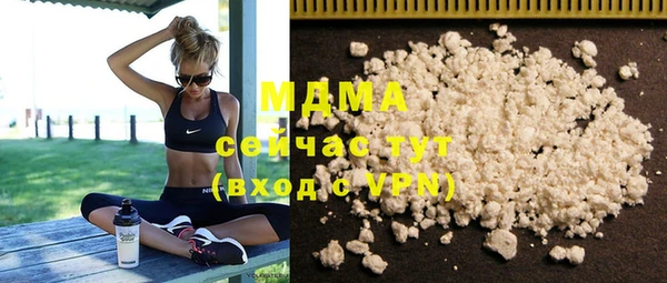 индика Алексин