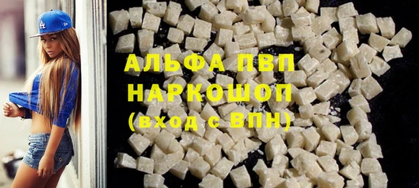 индика Алексин