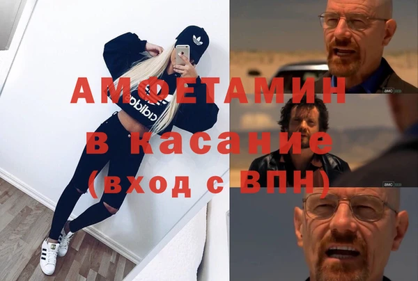 индика Алексин