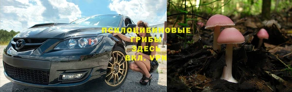 индика Алексин